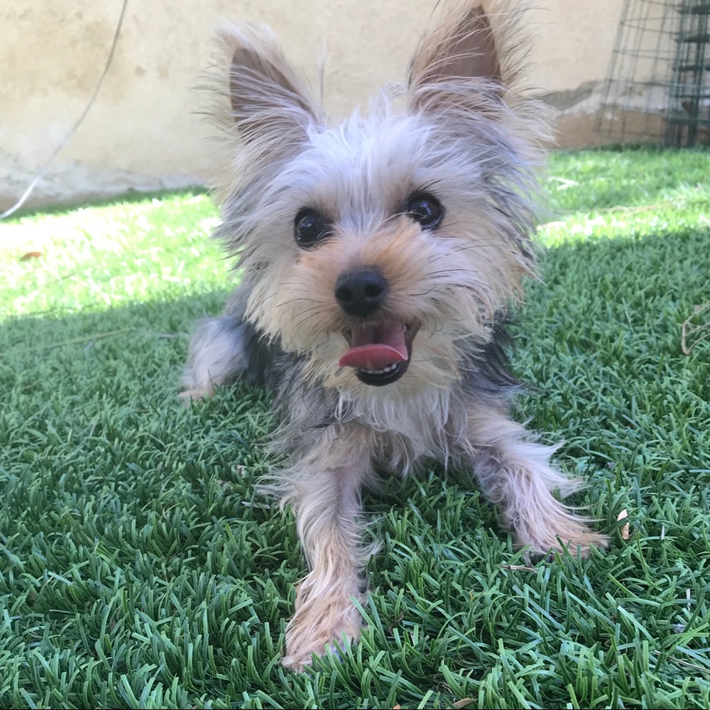 Meet your Posher, Cortney